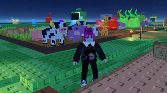 Build a Zoo codes