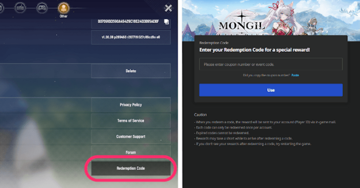 Redeem Codes