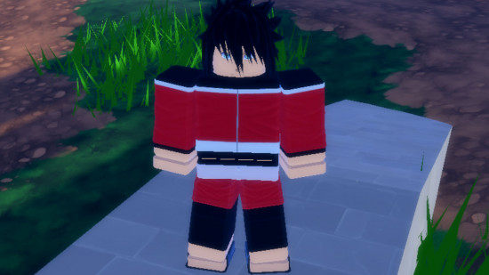 Ninja Time codes