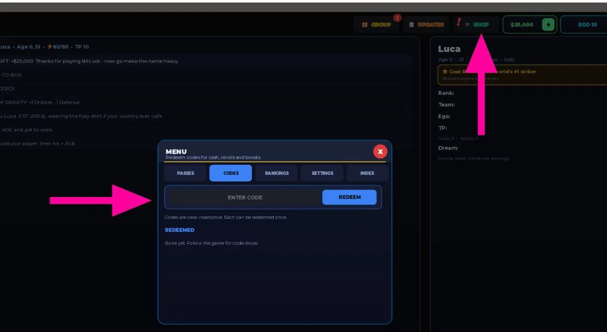 How to redeem codes in BitLock