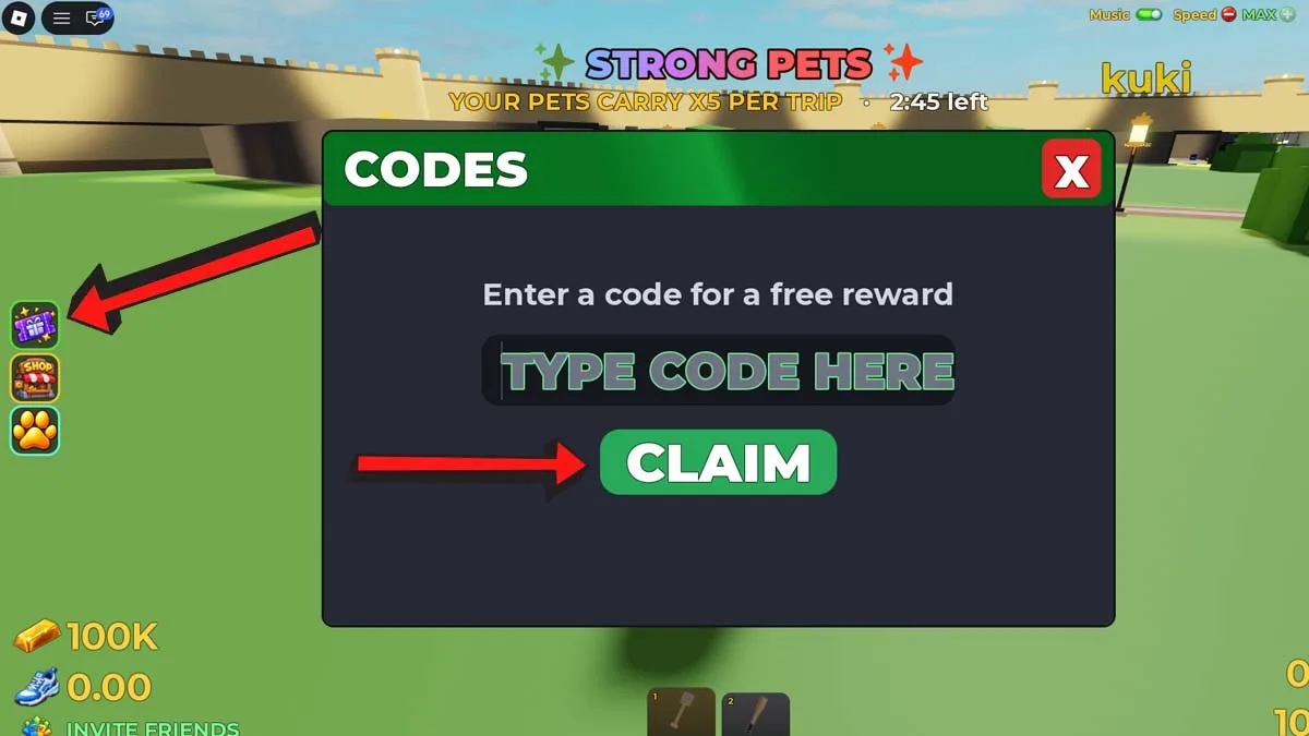 How to redeem codes in Sand To Rich